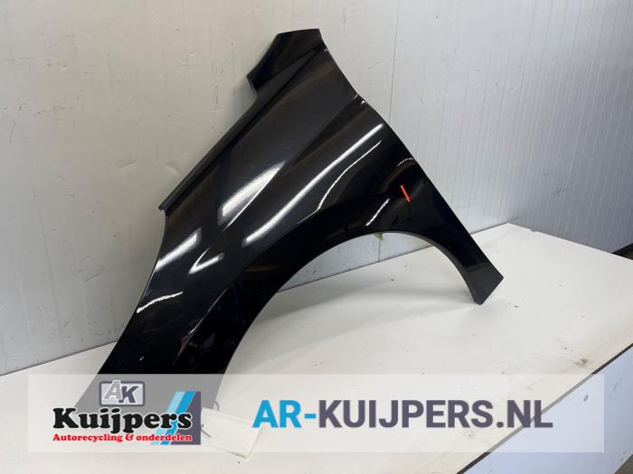Scherm links-voor - Peugeot 207