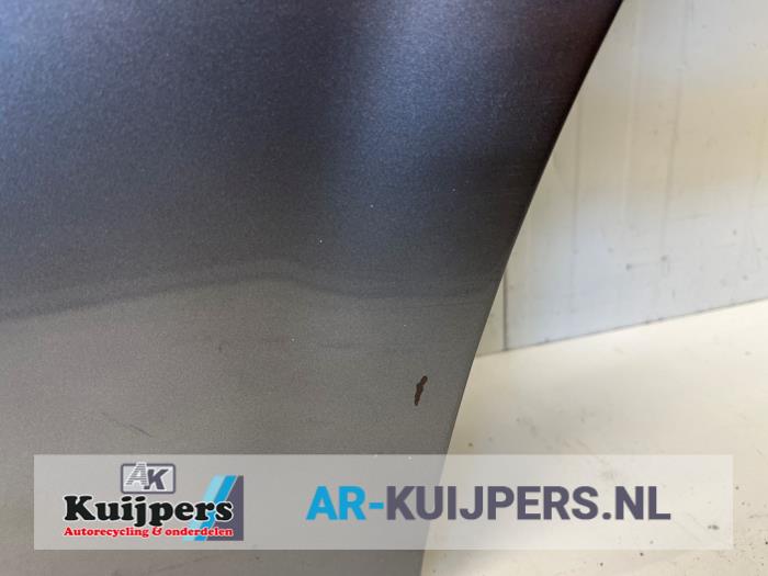 Portier 4Deurs links-achter - Chrysler 300 C