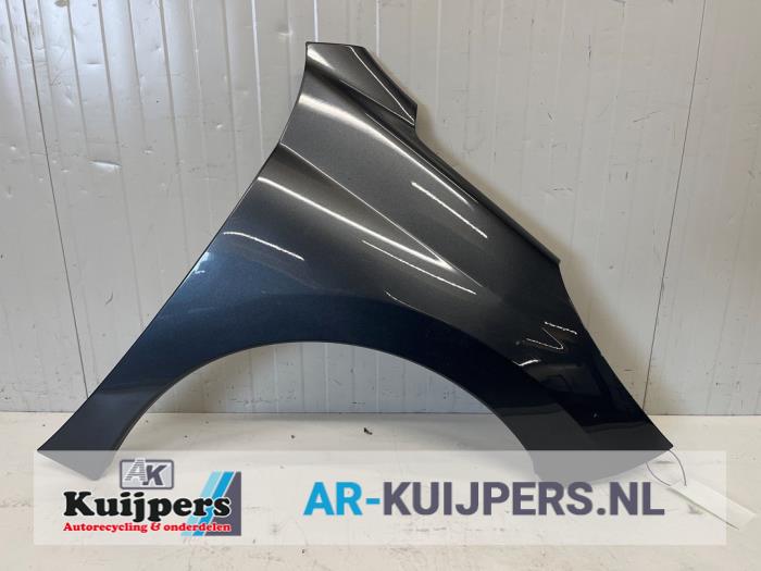 Scherm rechts-voor - Peugeot 207