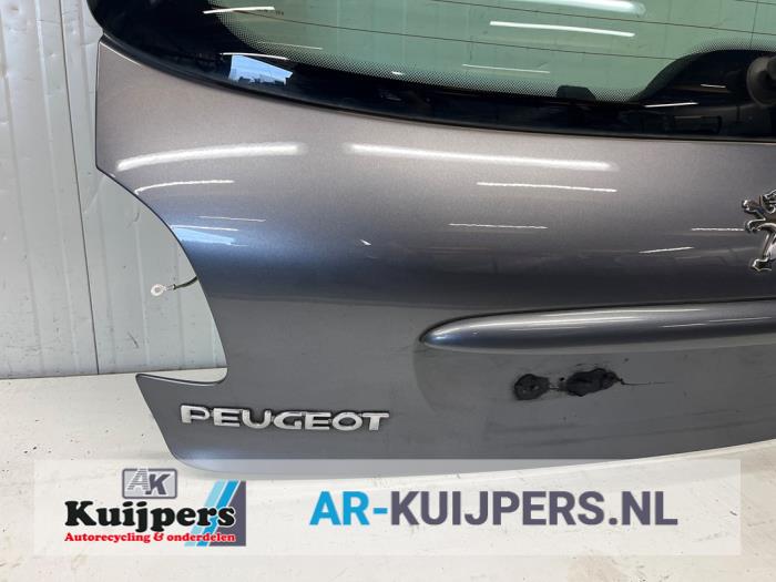 Achterklep - Peugeot 206 PLUS