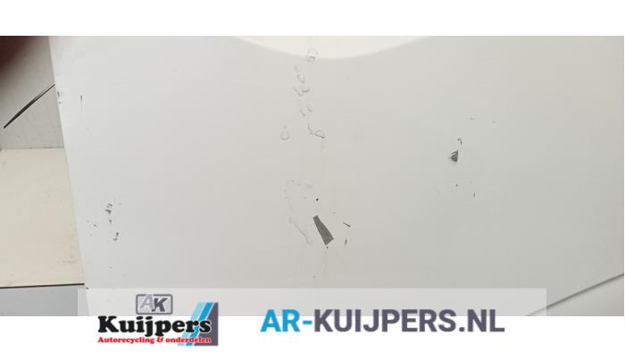 Portier 2Deurs links - Renault Master