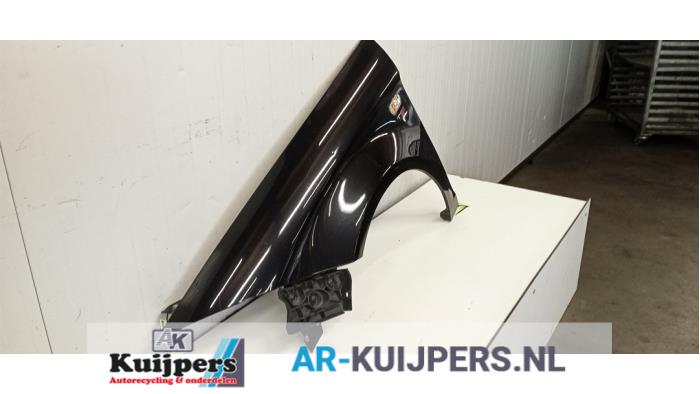 Scherm links-voor - Seat Altea