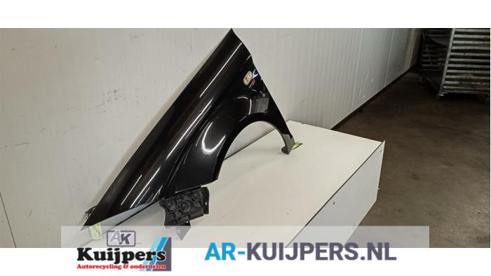 Scherm links-voor - Seat Altea