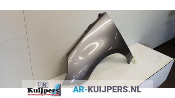 Scherm links-voor - Renault Scenic