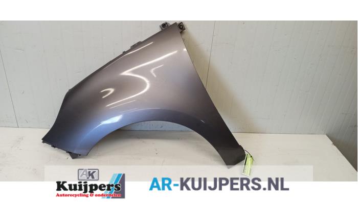 Scherm links-voor - Renault Scenic