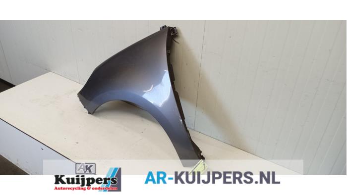 Scherm links-voor - Renault Scenic