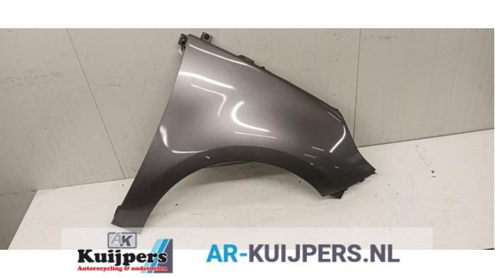 Scherm rechts-voor - Renault Scenic