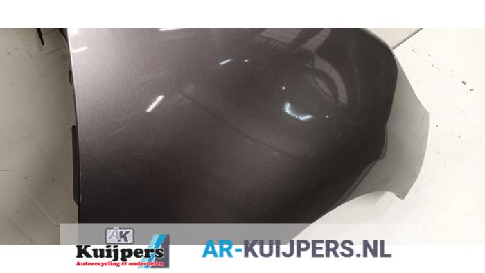 Scherm rechts-voor - Renault Scenic