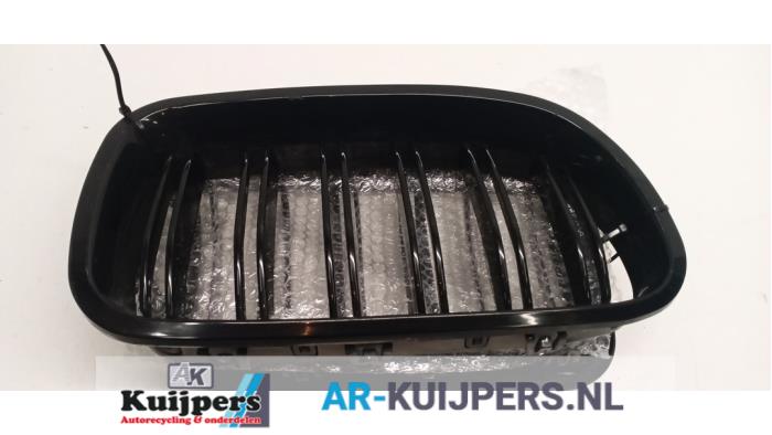 Grille - BMW 5-Serie