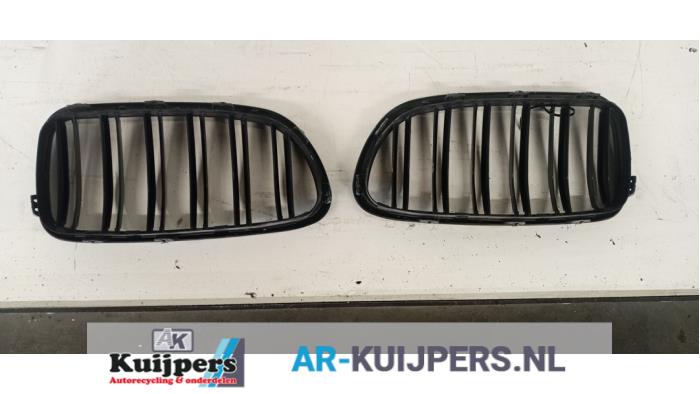 Grille - BMW 5-Serie