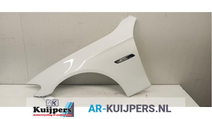 Scherm links-voor - BMW 5-Serie