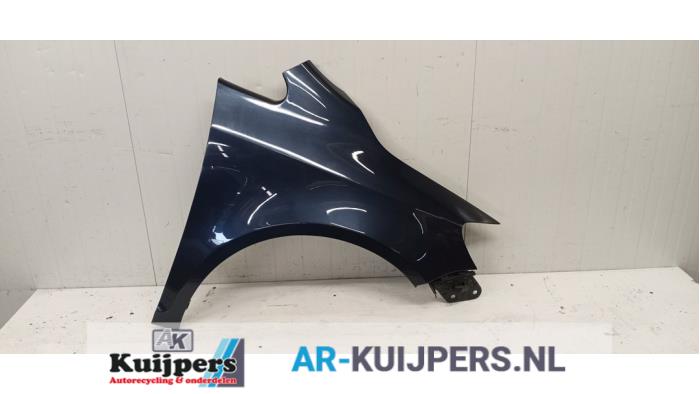 Scherm rechts-voor - Volkswagen Golf Plus