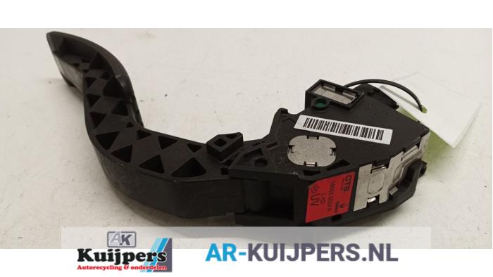 Gaspedaal - Renault Scenic