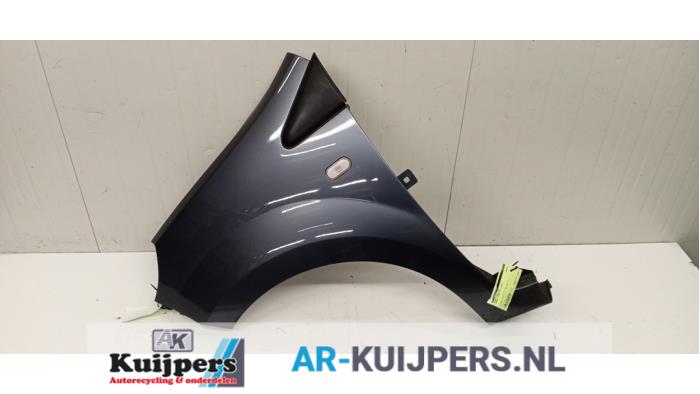 Scherm links-voor - Renault Twingo