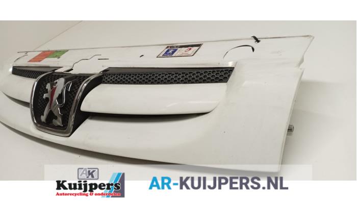 Grille - Peugeot Partner