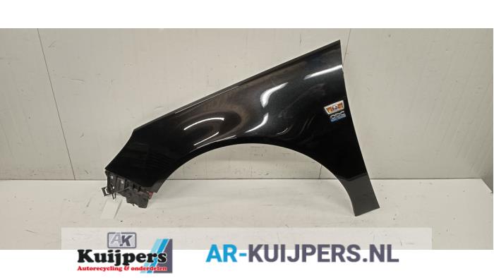 Scherm links-voor - Opel Insignia
