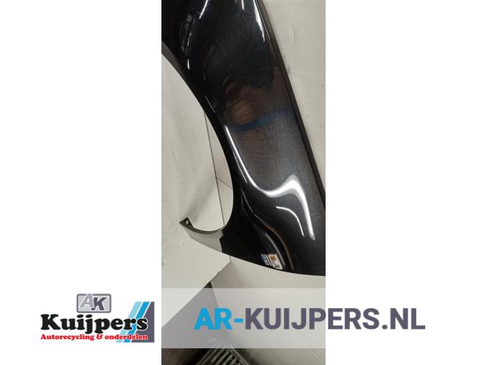 Scherm links-voor - Opel Insignia