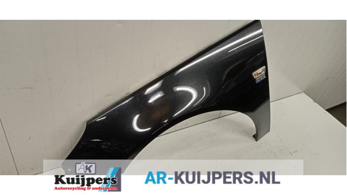 Scherm links-voor - Opel Insignia