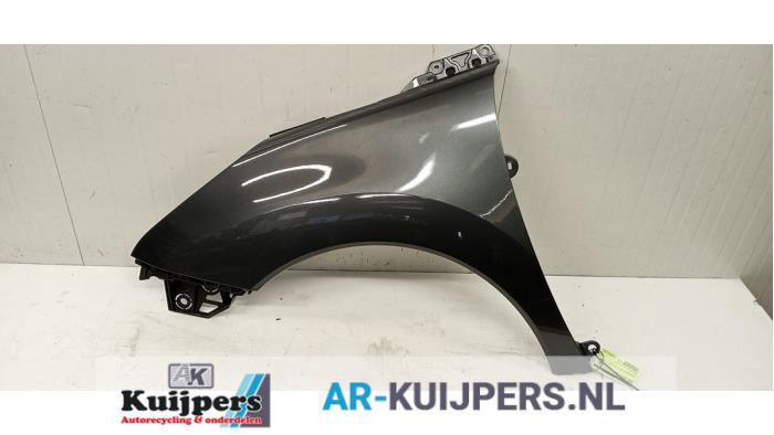 Scherm links-voor - Peugeot 3008