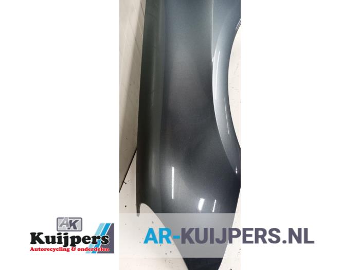 Scherm links-voor - Peugeot 307