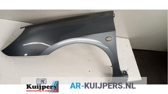 Scherm links-voor - Peugeot 307