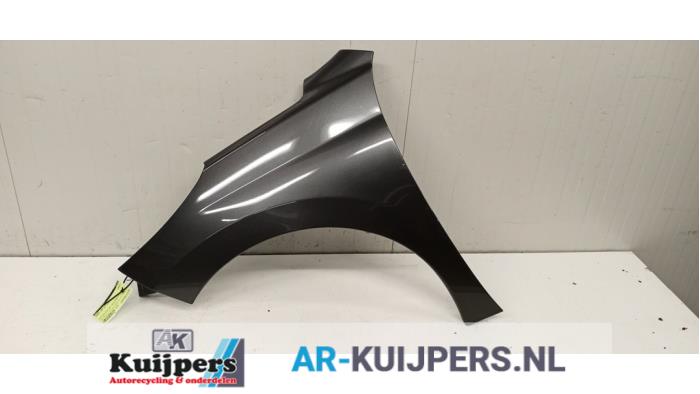 Scherm links-voor - Peugeot 207