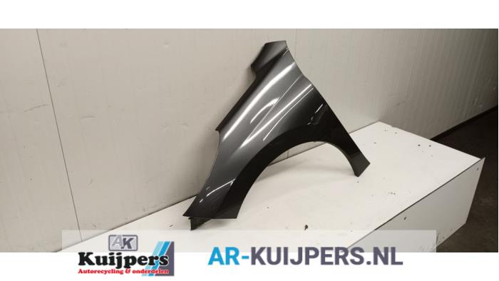 Scherm links-voor - Peugeot 207