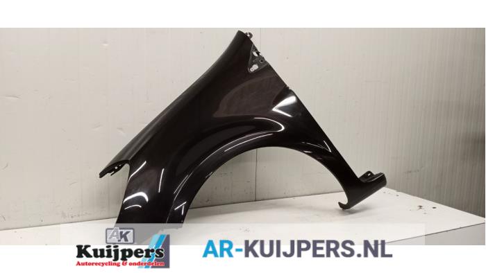 Scherm links-voor - Renault Clio