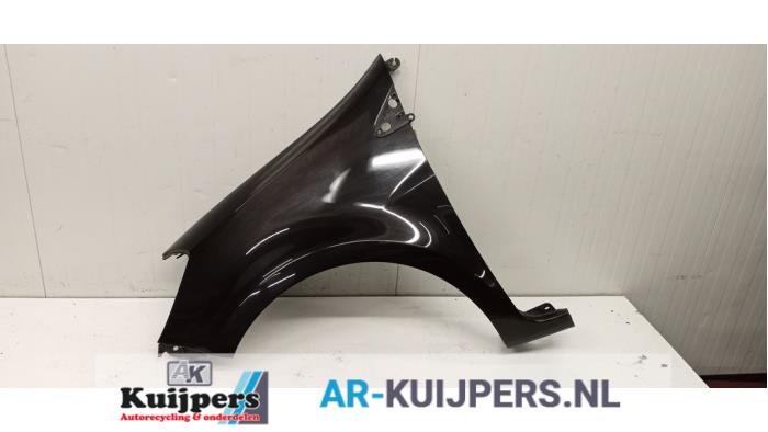 Scherm links-voor - Renault Clio