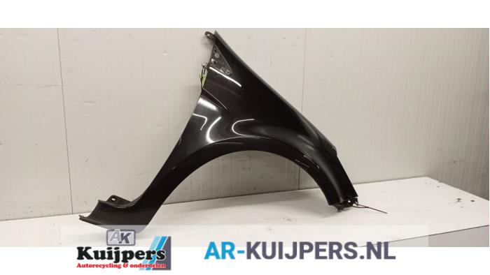 Scherm rechts-voor - Renault Clio