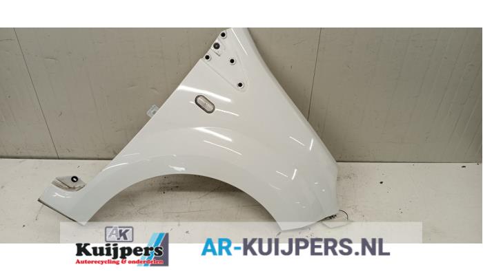 Scherm rechts-voor - Renault Twingo