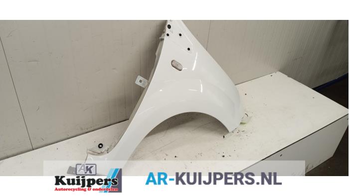 Scherm rechts-voor - Renault Twingo