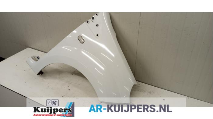 Scherm rechts-voor - Renault Twingo
