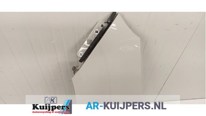 Scherm links-voor - Fiat Panda