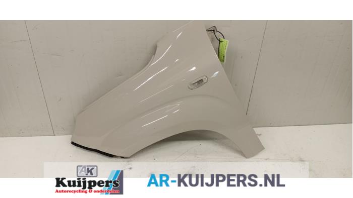 Scherm links-voor - Fiat Panda