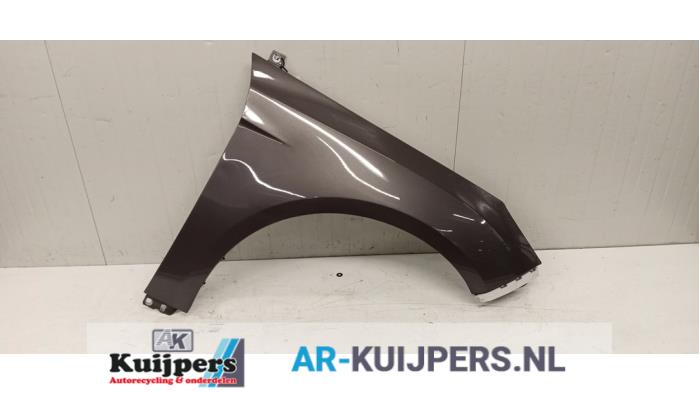 Scherm rechts-voor - Ford Focus
