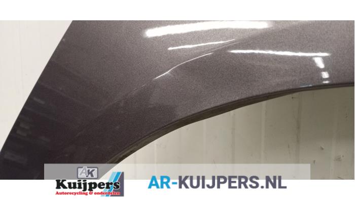 Scherm rechts-voor - Ford Focus