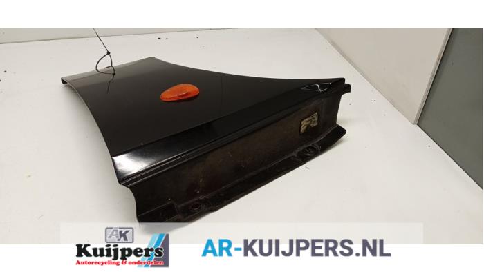 Scherm links-voor - Alfa Romeo GTV
