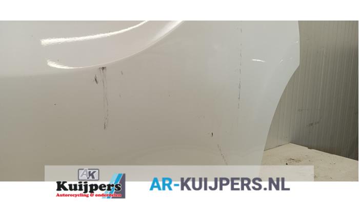 Portier 2Deurs rechts - Opel Vivaro