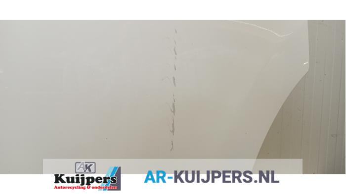 Portier 2Deurs rechts - Opel Vivaro