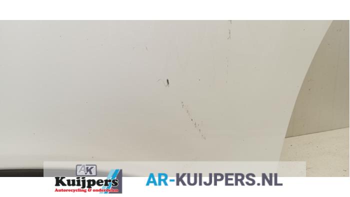 Portier 2Deurs rechts - Opel Vivaro