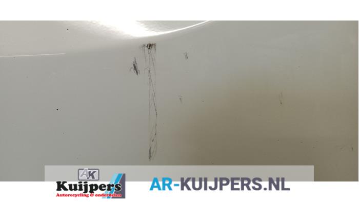 Portier 2Deurs rechts - Opel Vivaro