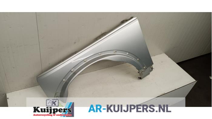 Scherm links-voor - Landrover Discovery