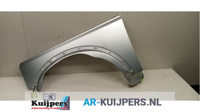 Scherm links-voor - Landrover Discovery