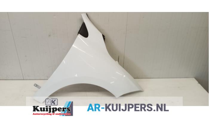 Scherm rechts-voor - Renault Megane