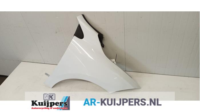 Scherm rechts-voor - Renault Megane