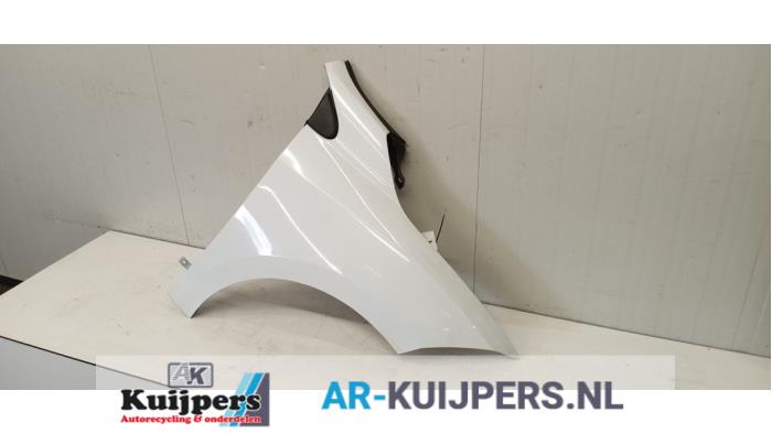 Scherm rechts-voor - Renault Megane