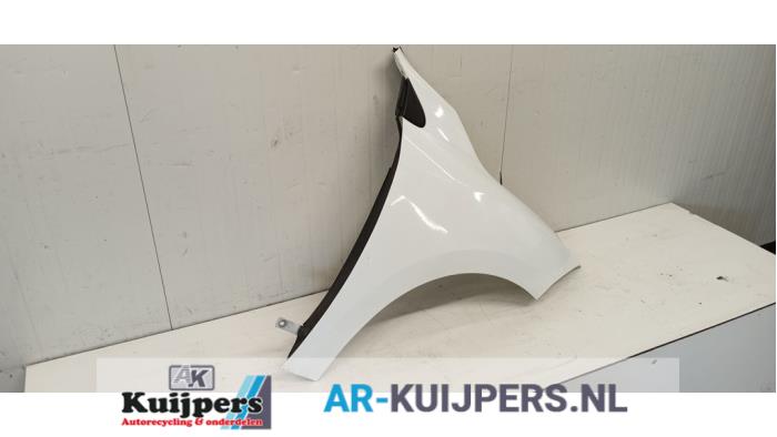 Scherm rechts-voor - Renault Megane