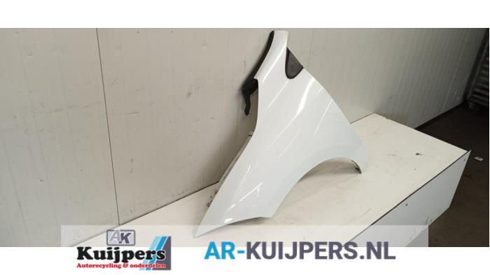 Scherm links-voor - Renault Megane
