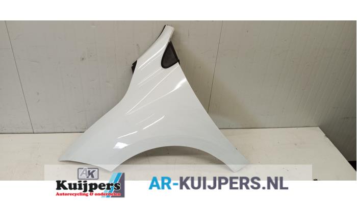Scherm links-voor - Renault Megane
